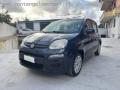 usato FIAT Panda