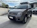 usato FIAT Panda