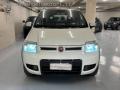 usato FIAT Panda