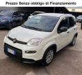 usato FIAT Panda