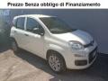 usato FIAT Panda