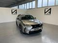 usato LEXUS UX 250h