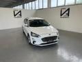 usato FORD Focus