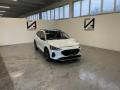 usato FORD Focus