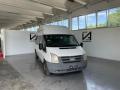 usato FORD Transit