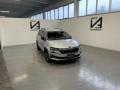 usato SKODA Karoq