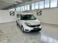 usato FIAT Doblo