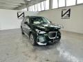 usato BMW iX1