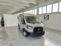 usato FORD Transit