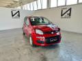 usato FIAT Panda