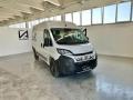 usato FIAT Ducato