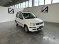 usato FIAT Panda