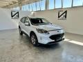 usato FORD Kuga