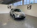 usato FIAT 500X