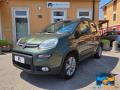 usato FIAT Panda