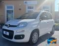 usato FIAT Panda