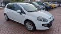 usato FIAT Punto Evo