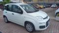 usato FIAT Panda