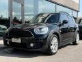 usato MINI Countryman