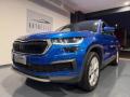usato SKODA Kodiaq