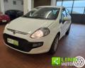 usato FIAT Grande Punto