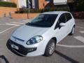 usato FIAT Punto Evo