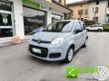 usato FIAT Panda
