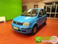 usato FIAT Panda