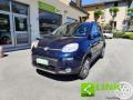 usato FIAT Panda