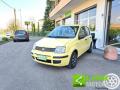 usato FIAT Panda