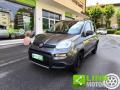 usato FIAT Panda
