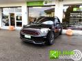 usato MINI Countryman