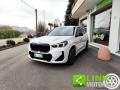usato BMW X1