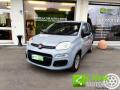 usato FIAT Panda