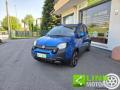 usato FIAT Pandina