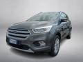usato FORD Kuga