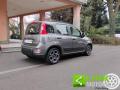 usato FIAT Panda