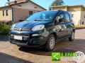 usato FIAT Panda