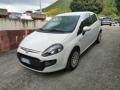 usato FIAT Punto Evo