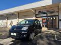 usato FIAT Panda