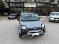 usato FIAT Panda Cross