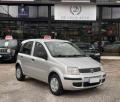 usato FIAT Panda
