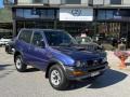 usato NISSAN Terrano II