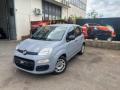 usato FIAT Panda
