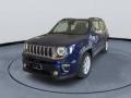 usato JEEP Renegade