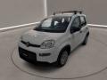 usato FIAT Panda