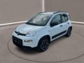 usato FIAT Panda