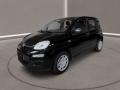 usato FIAT Panda
