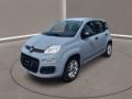 usato FIAT Panda