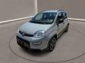 usato FIAT Panda